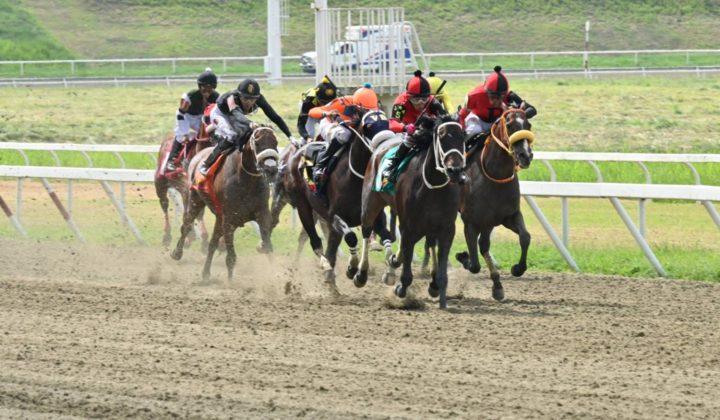 Nuevo dueño reclama a descendiente de King Seraf en el hipódromo de Coche