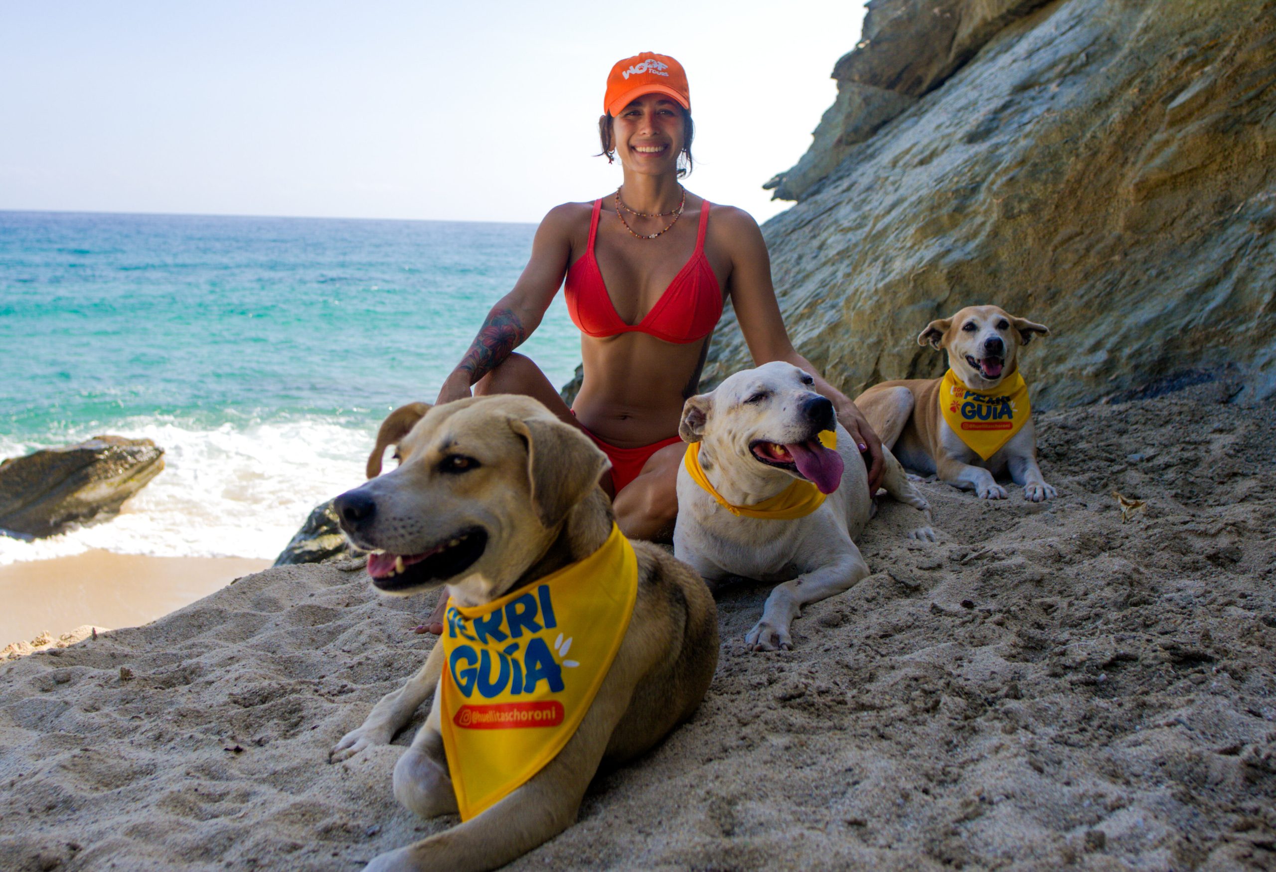Perros con bufandas distintivas paseando junto a turistas en Choroní, Venezuela, como parte del programa 