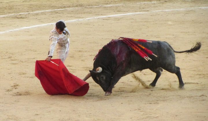 ¿Subvenciones para toros como solución a la despoblación en Cantabria?