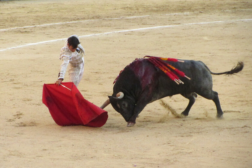 ¿Subvenciones para toros como solución a la despoblación en Cantabria?