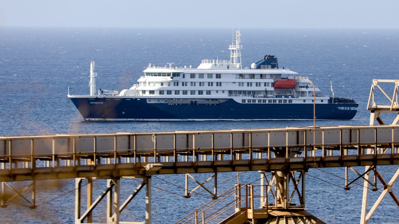 Hantavirus: Lo que debes saber sobre el peligroso virus detectado en un crucero