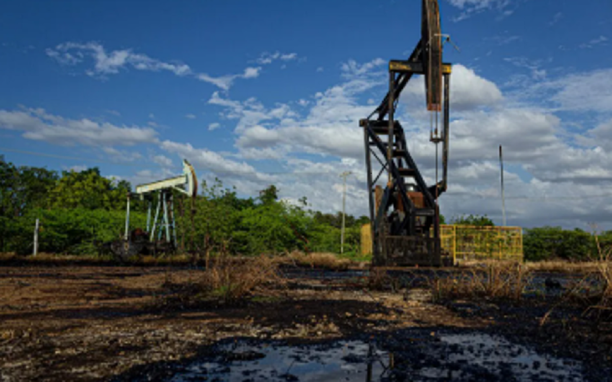 Retrato de Susana Brugada, gerente de Asuntos Corporativos de Chevron Venezuela.