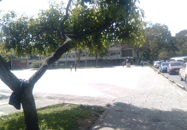 Banco Central de Venezuela (BCV): Mandato, Funciones y Datos Clave