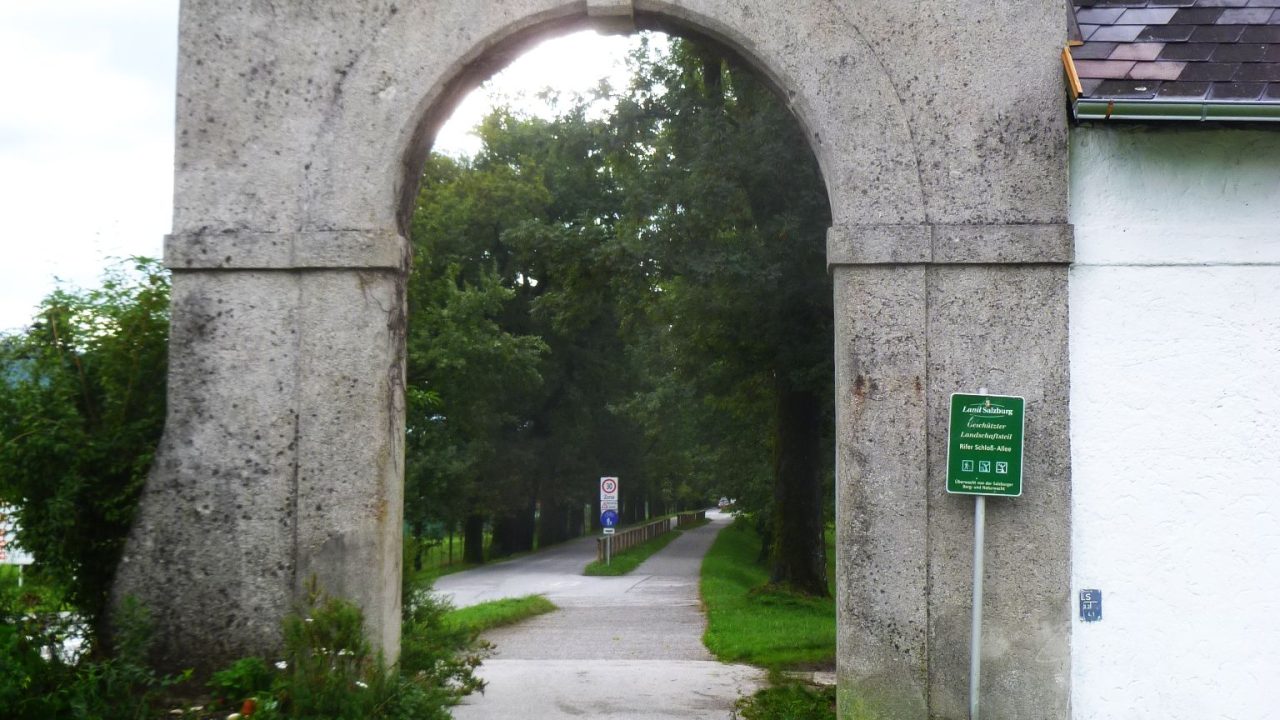 Cómo Obtener e Imprimir tu RIF del SENIAT en Venezuela