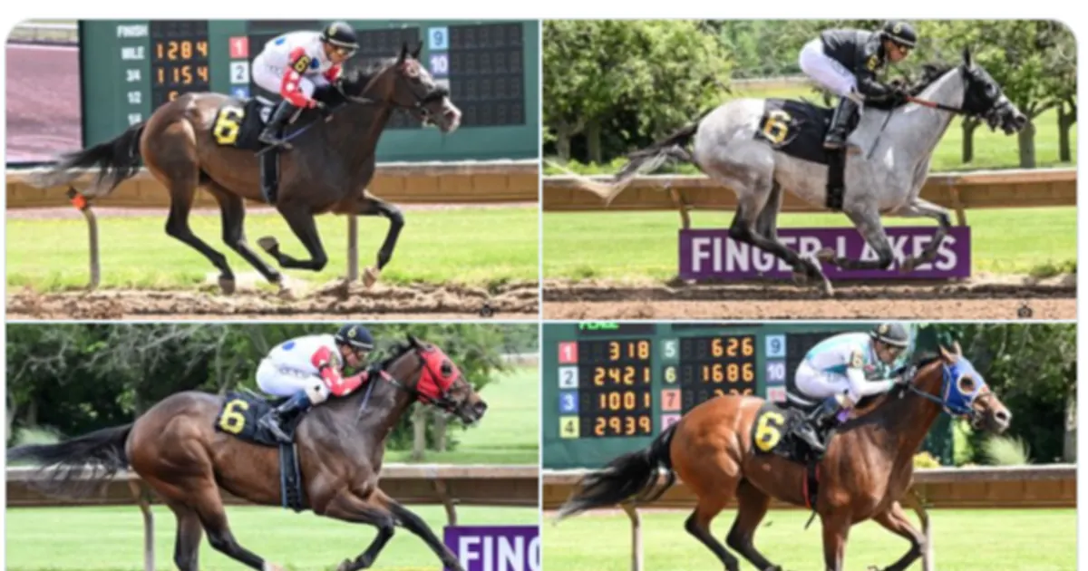 El circuito hípico de Finger Lakes, en Nueva York, fue testigo de una actuación estelar del jockey venezolano Keiber Coa este miércoles, qui