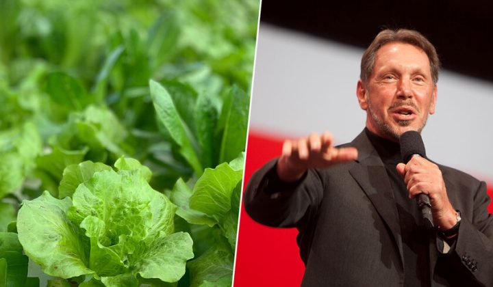 El ambicioso proyecto de agricultura tecnológica de Larry Ellison en su isla privada: un costoso aprendizaje