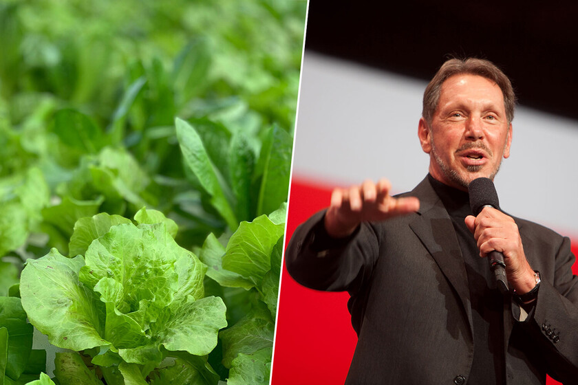 El ambicioso proyecto de agricultura tecnológica de Larry Ellison en su isla privada: un costoso aprendizaje