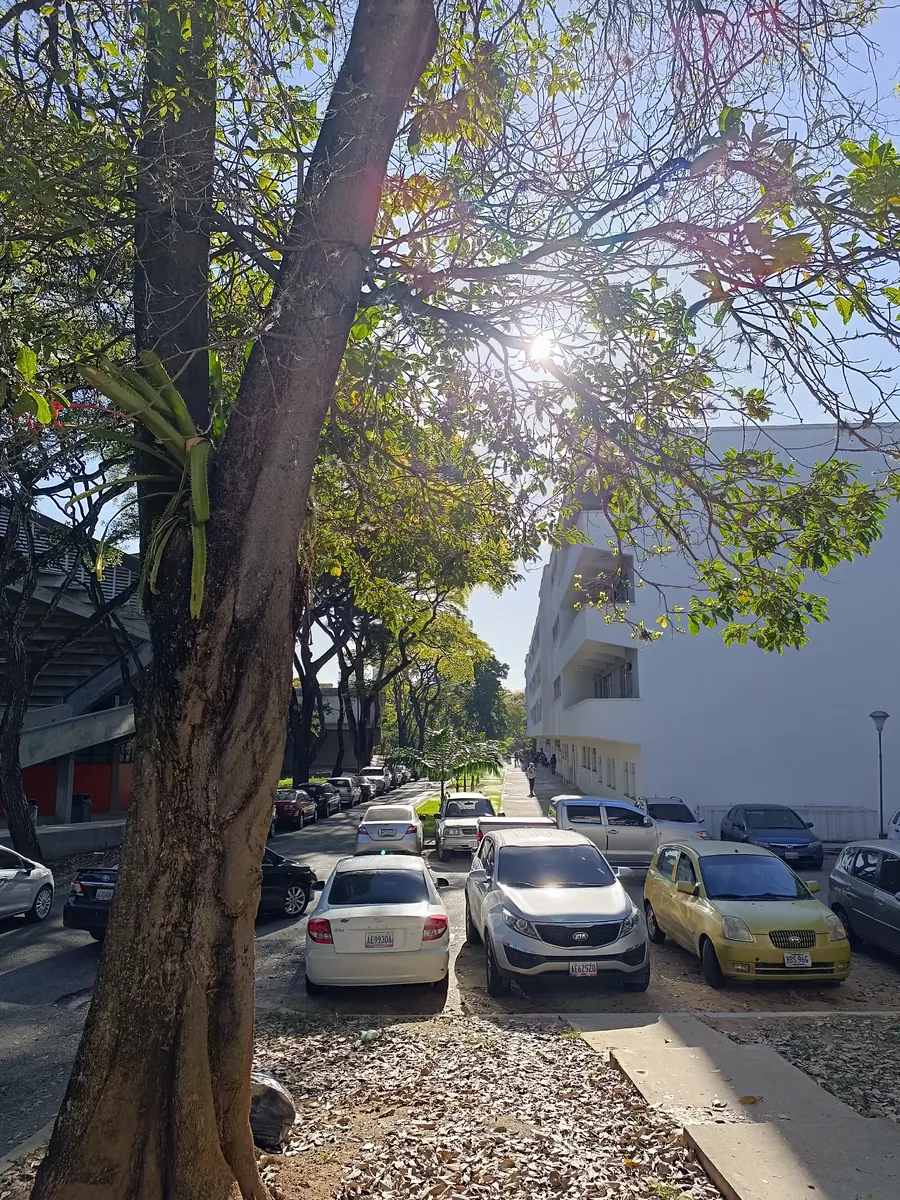 Oficina del SENIAT en Venezuela con documentos y computadoras