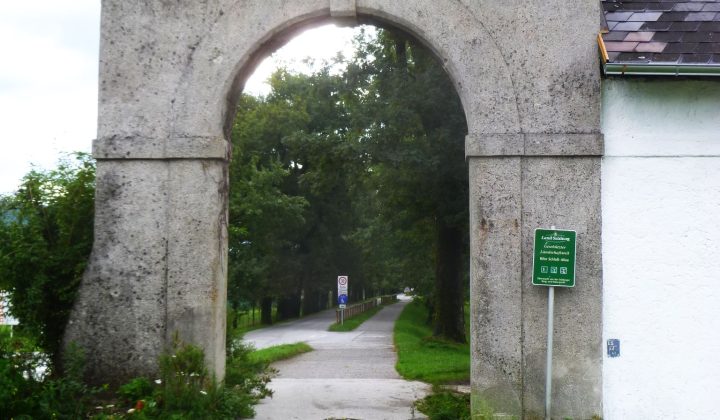 Guía Completa para el RIF del SENIAT: Trámites, Requisitos y Consultas