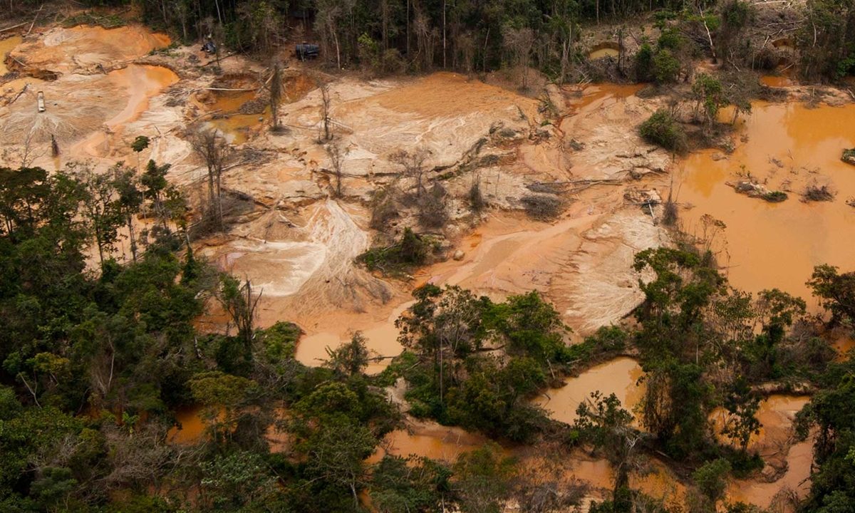 FANB Desaloja Líderes Armados en Zona Minera del Sur de Venezuela; ONG Advierte Riesgos