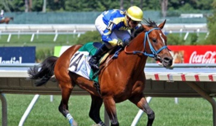 Jockey venezolano Keiber Coa amplía su dominio en Finger Lakes