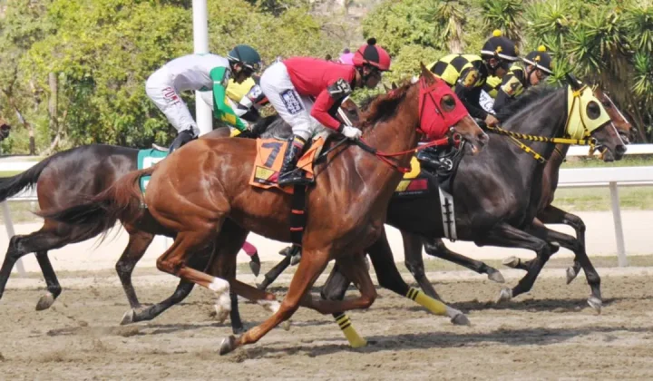 Cadenitas: La Yegua que Hizo Historia en el Clásico Armada Nacional Bolivariana de La Rinconada
