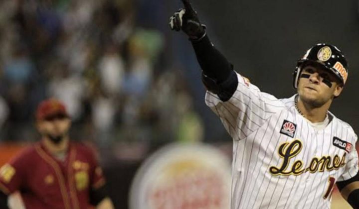 LVBP: ¿Es Félix Pérez el mejor importado en la historia de los Leones del Caracas? El debate ofensivo que divide a los aficionados