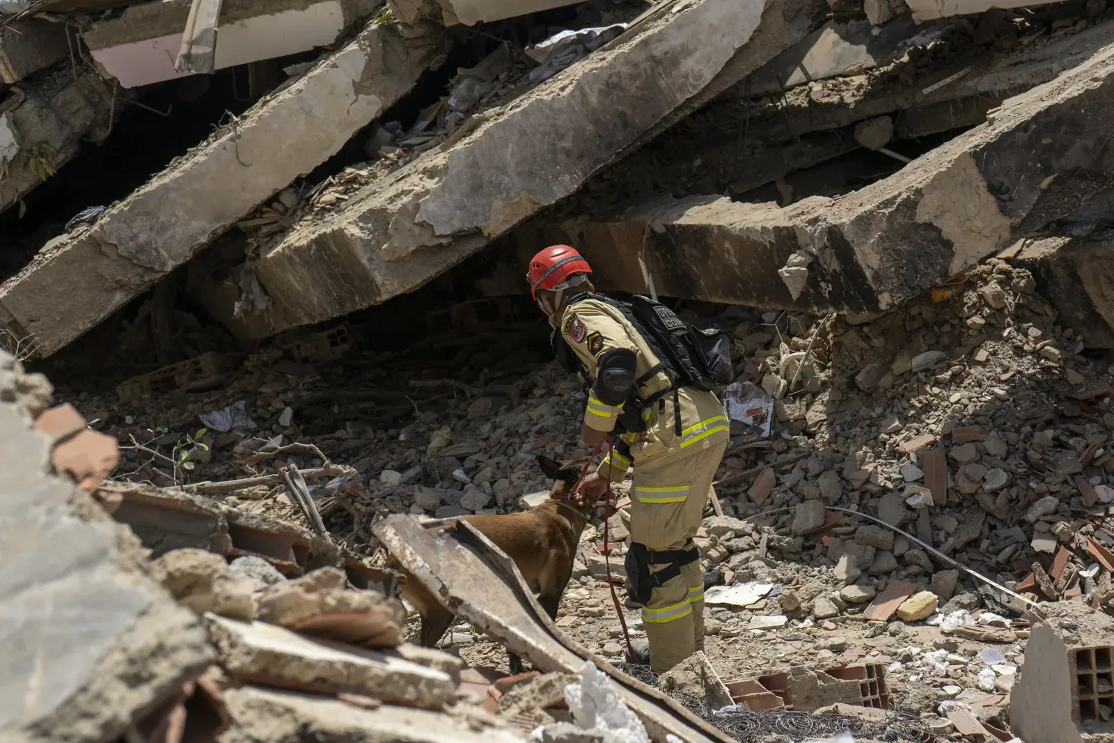 Bomberos españoles junto a perros de rescate en La Guaira tras el terremoto.