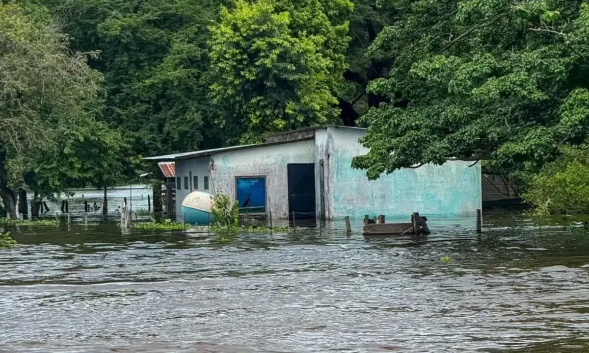 Alerta por lluvias e inundaciones en Apure y Amazonas: ríos desbordados afectan a miles de familias