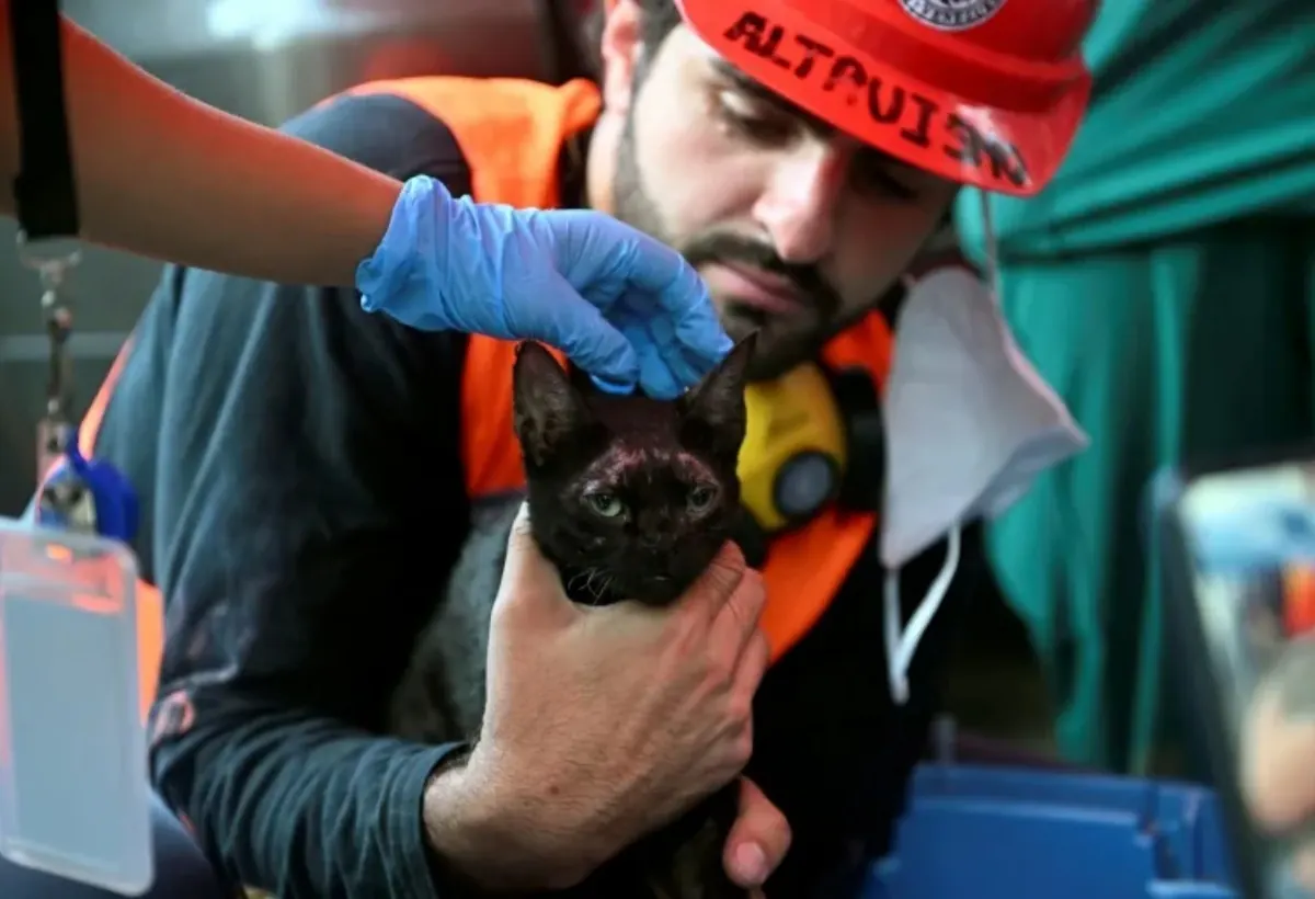 Voluntarios sonríen mientras sostienen a un gato rescatado de entre los escombros de un edificio derrumbado en La Guaira, Venezuela.