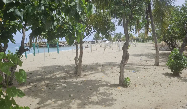 Trabajadores turísticos de La Guaira sobreviven recolectando chatarra un mes después de los sismos