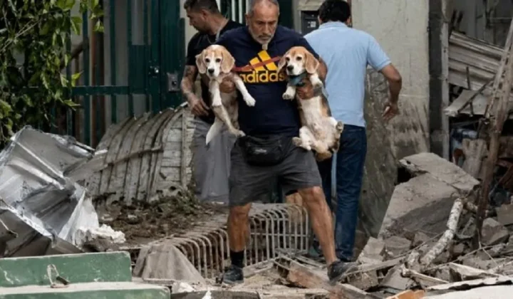 AnimaNaturalis envía más de 6.000 euros a Venezuela para atender animales afectados por los terremotos de junio