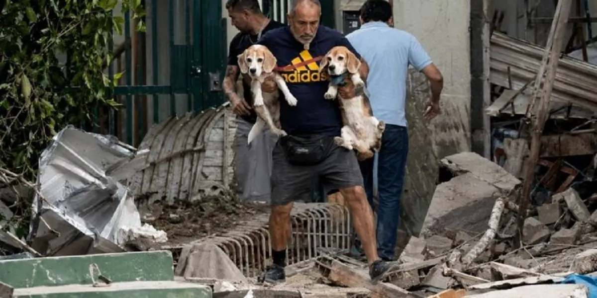 AnimaNaturalis envía más de 6.000 euros a Venezuela para atender animales afectados por los terremotos de junio