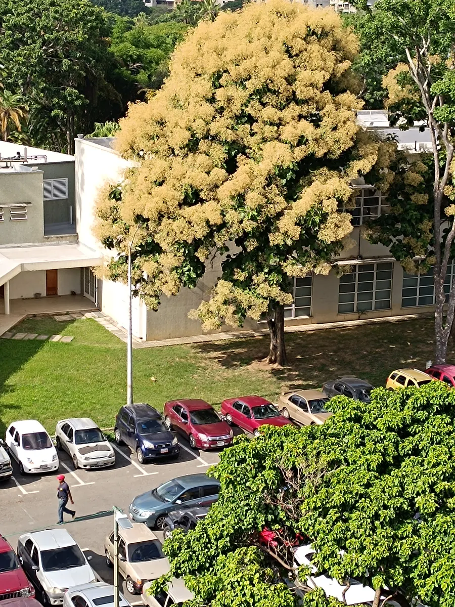 Fachada de una oficina tributaria del SENIAT en Venezuela