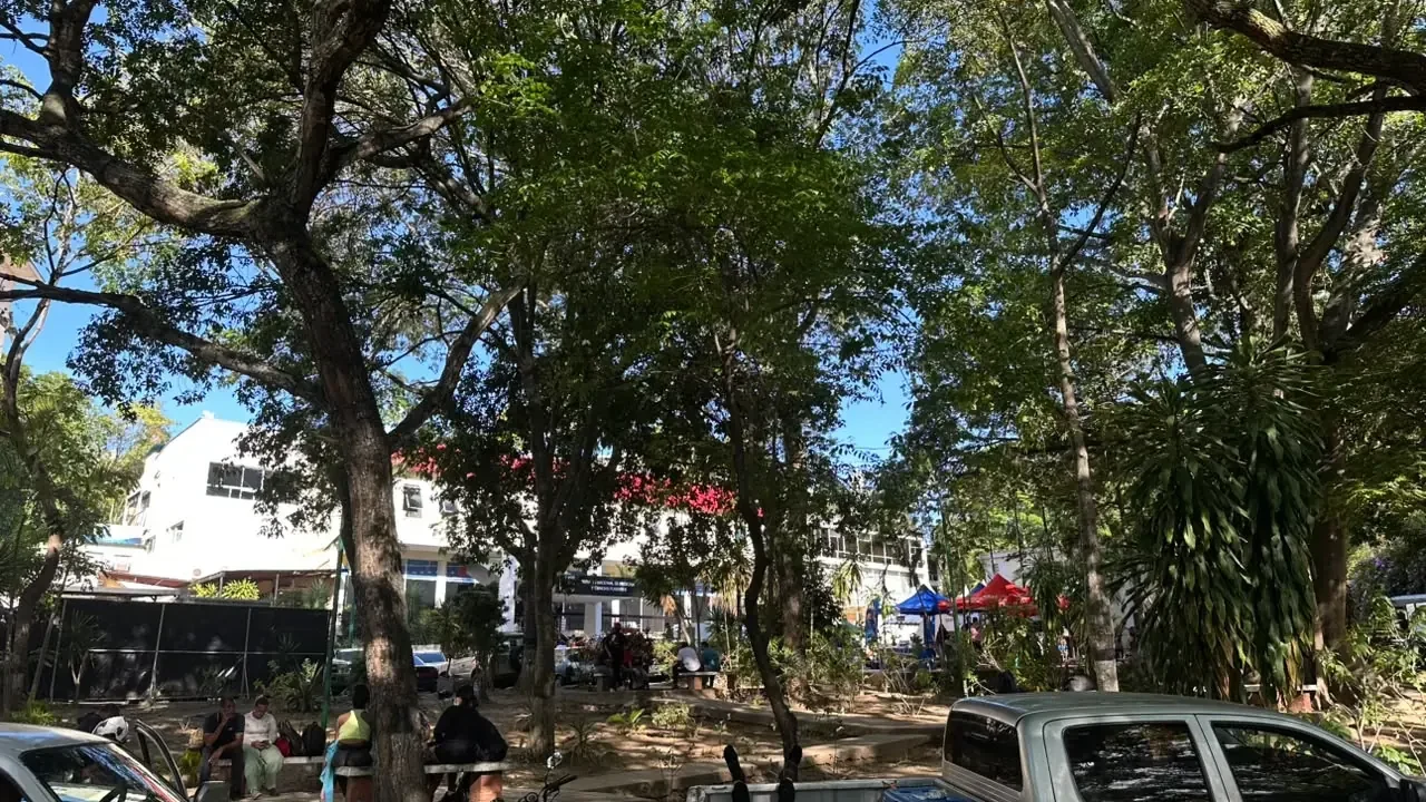 Familias enteras perdieron la vida juntas en La Guaira durante los terremotos