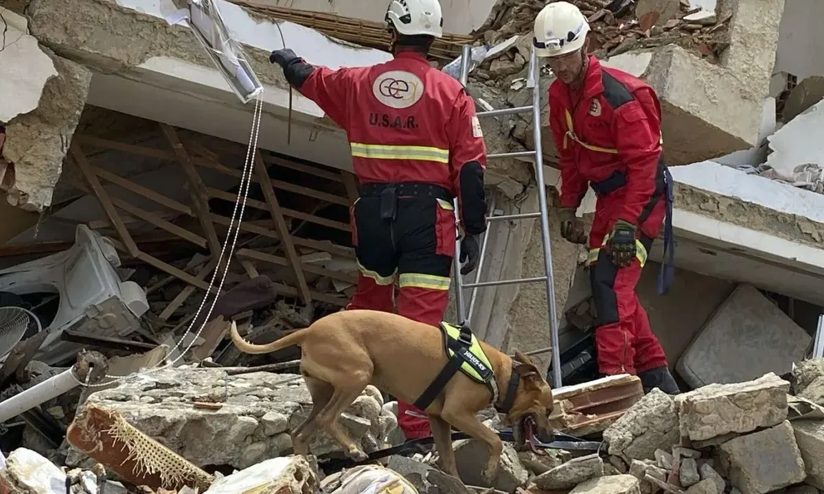 Comité de Emergencias Español recauda más de un millón de euros en ayuda humanitaria para Venezuela