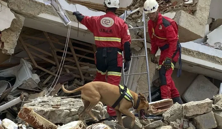 Comité de Emergencias Español recauda más de un millón de euros en ayuda humanitaria para Venezuela
