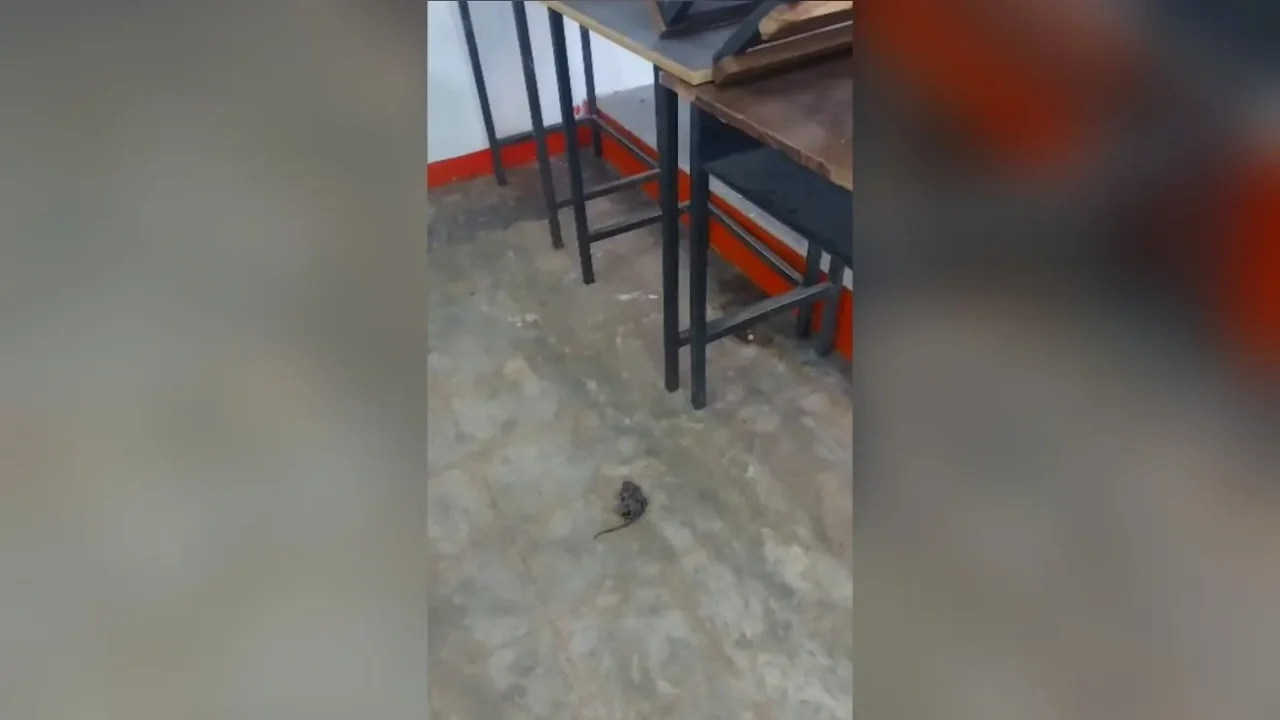 Denuncian condiciones insalubres en aulas de la Unellez en Barinas: ratones muertos y falta de mantenimiento