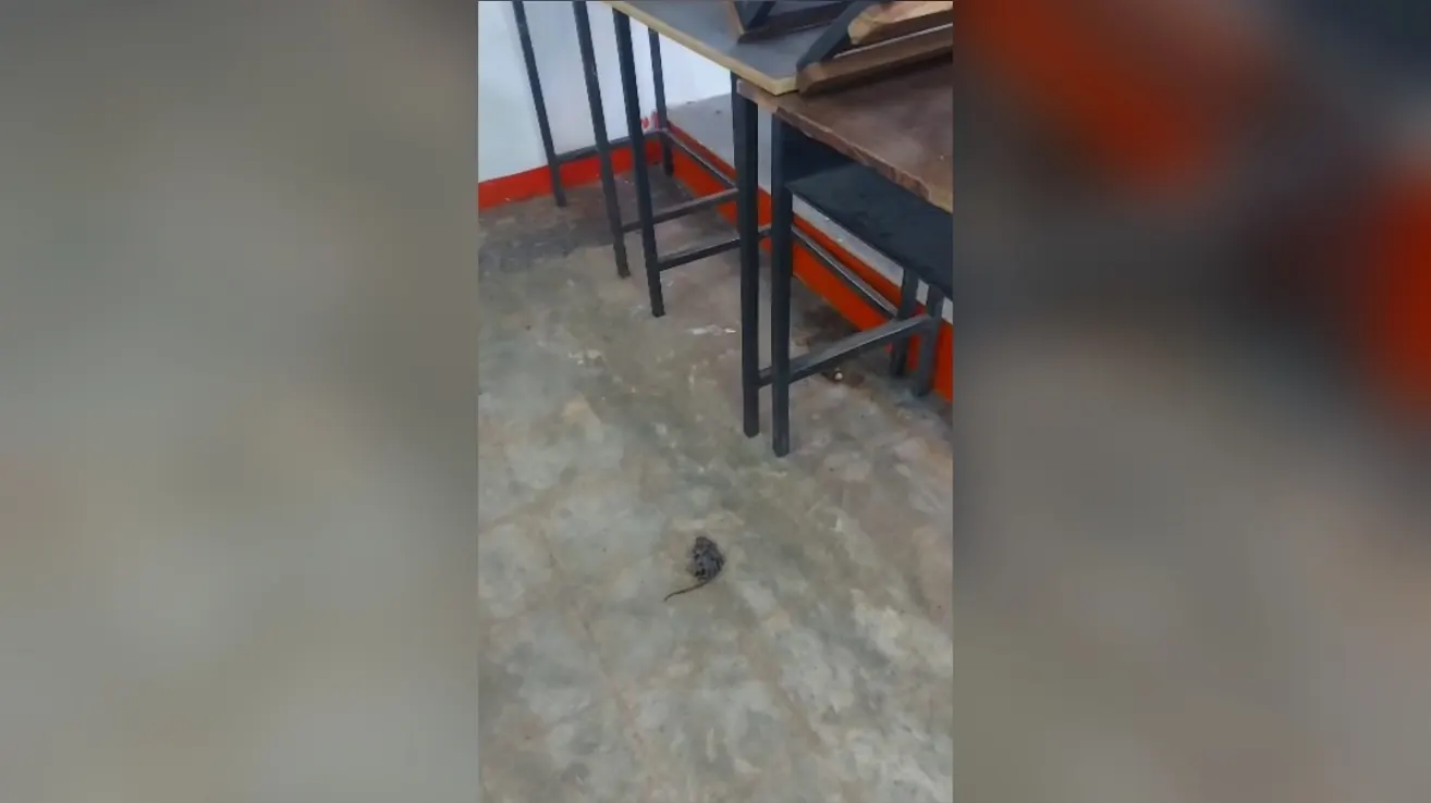 Aula universitaria sucia con telarañas y falta de mantenimiento en la Unellez, estado Barinas, Venezuela